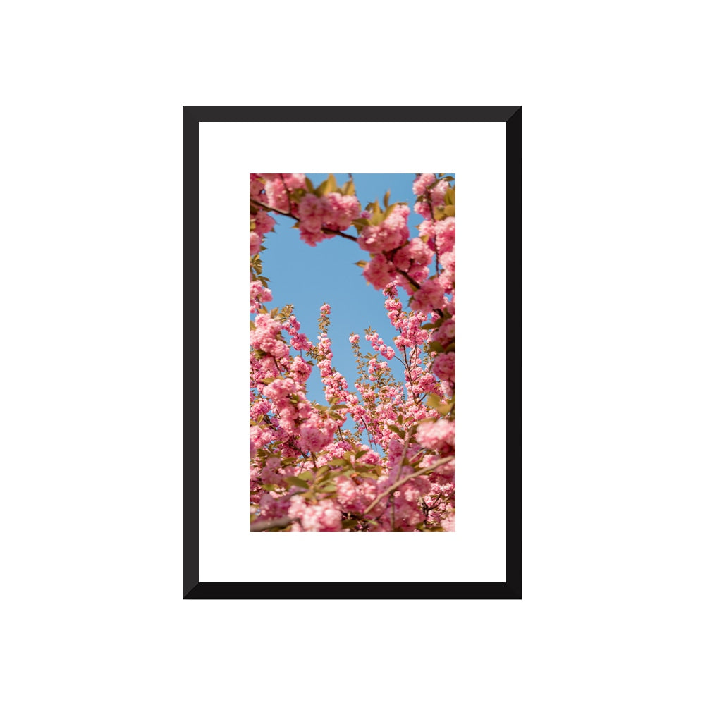 A Moment in Bloom