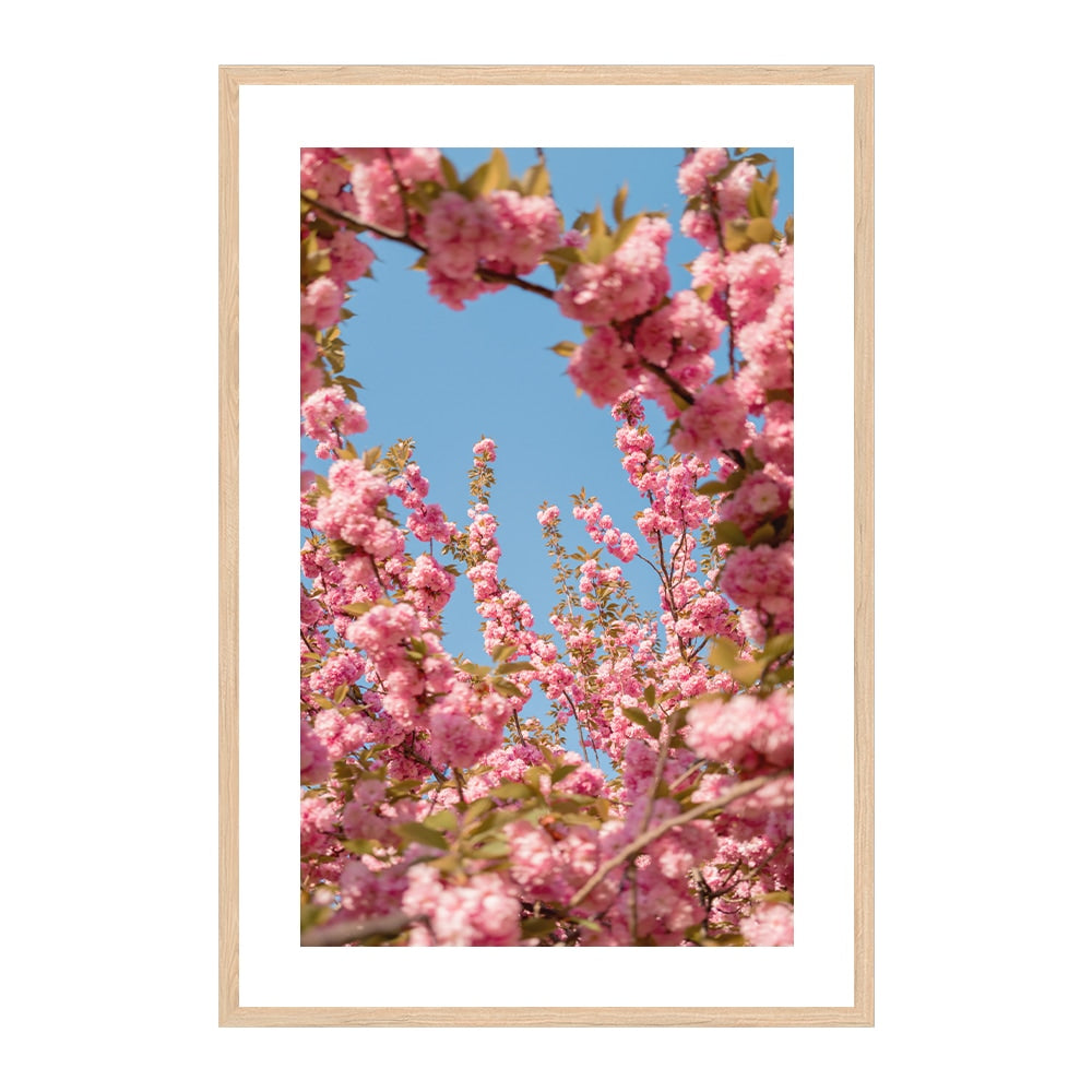 A Moment in Bloom