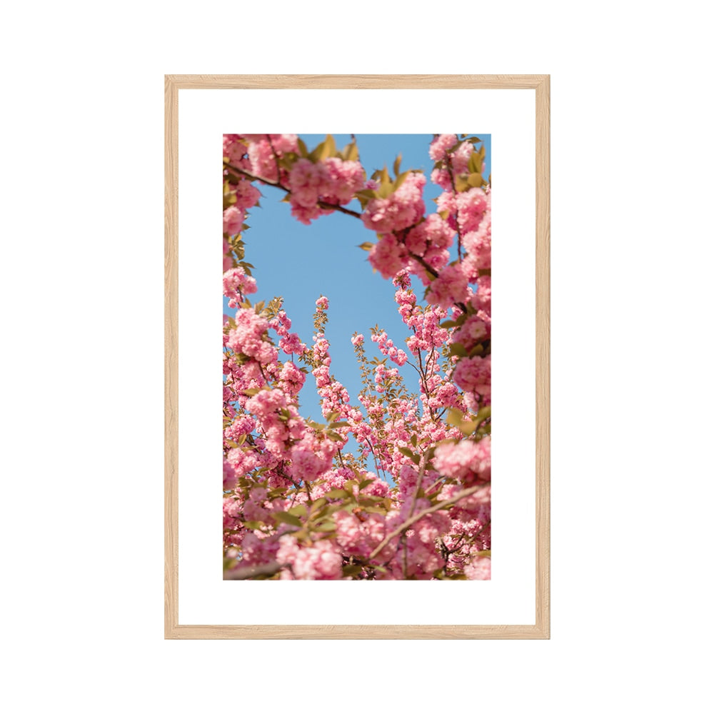 A Moment in Bloom