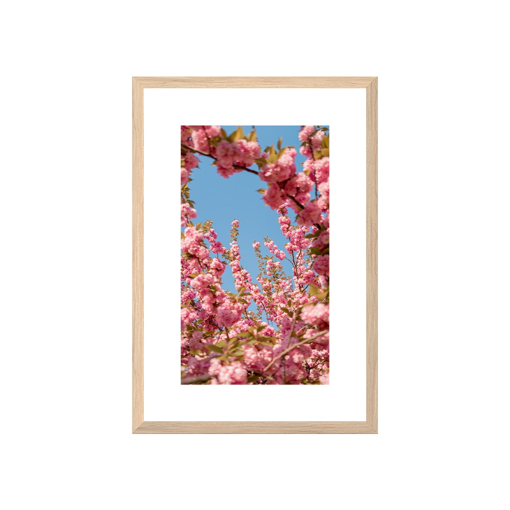 A Moment in Bloom