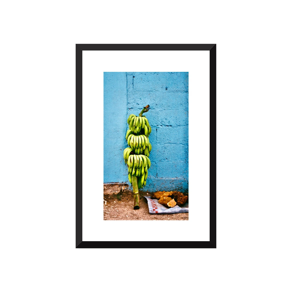 Banana Harvest