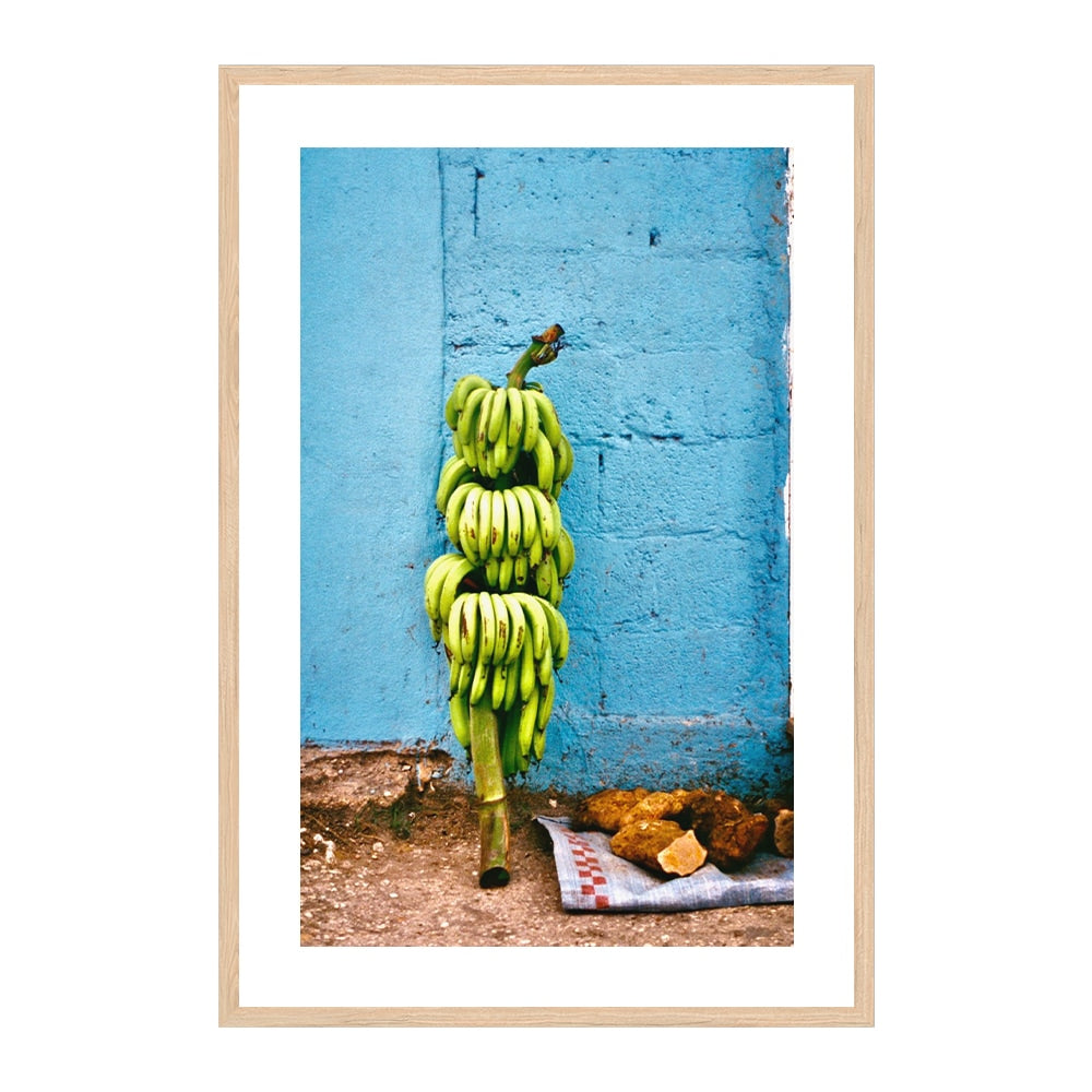 Banana Harvest