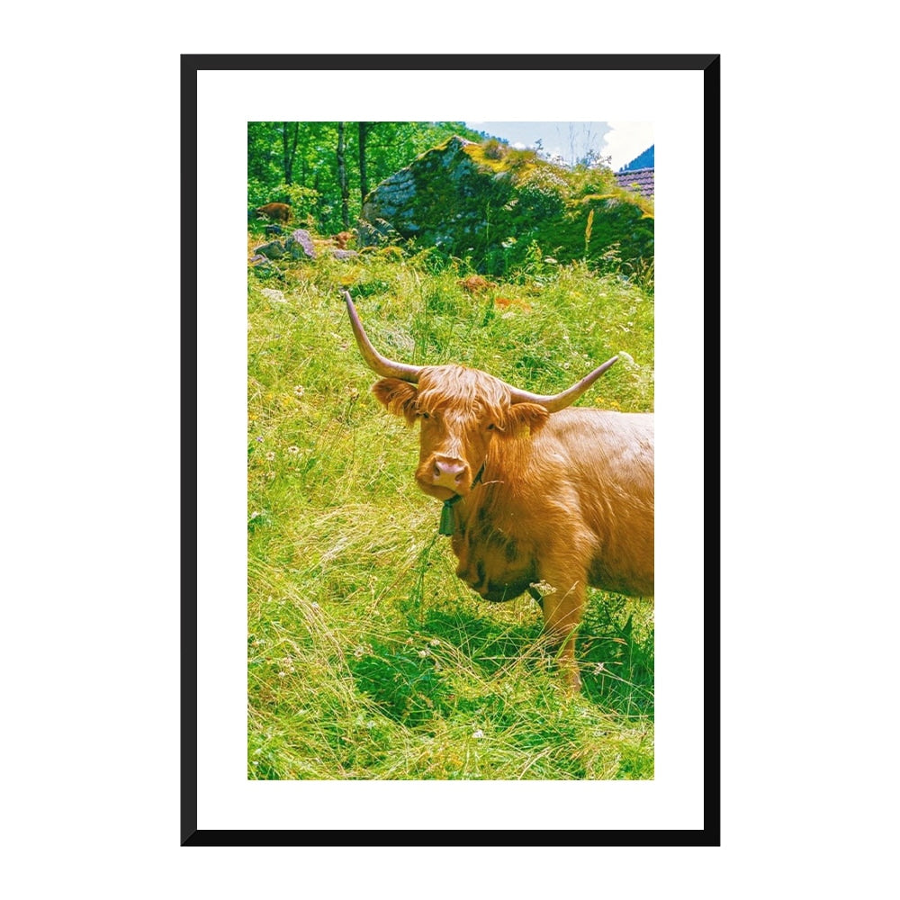 Highland Encounter