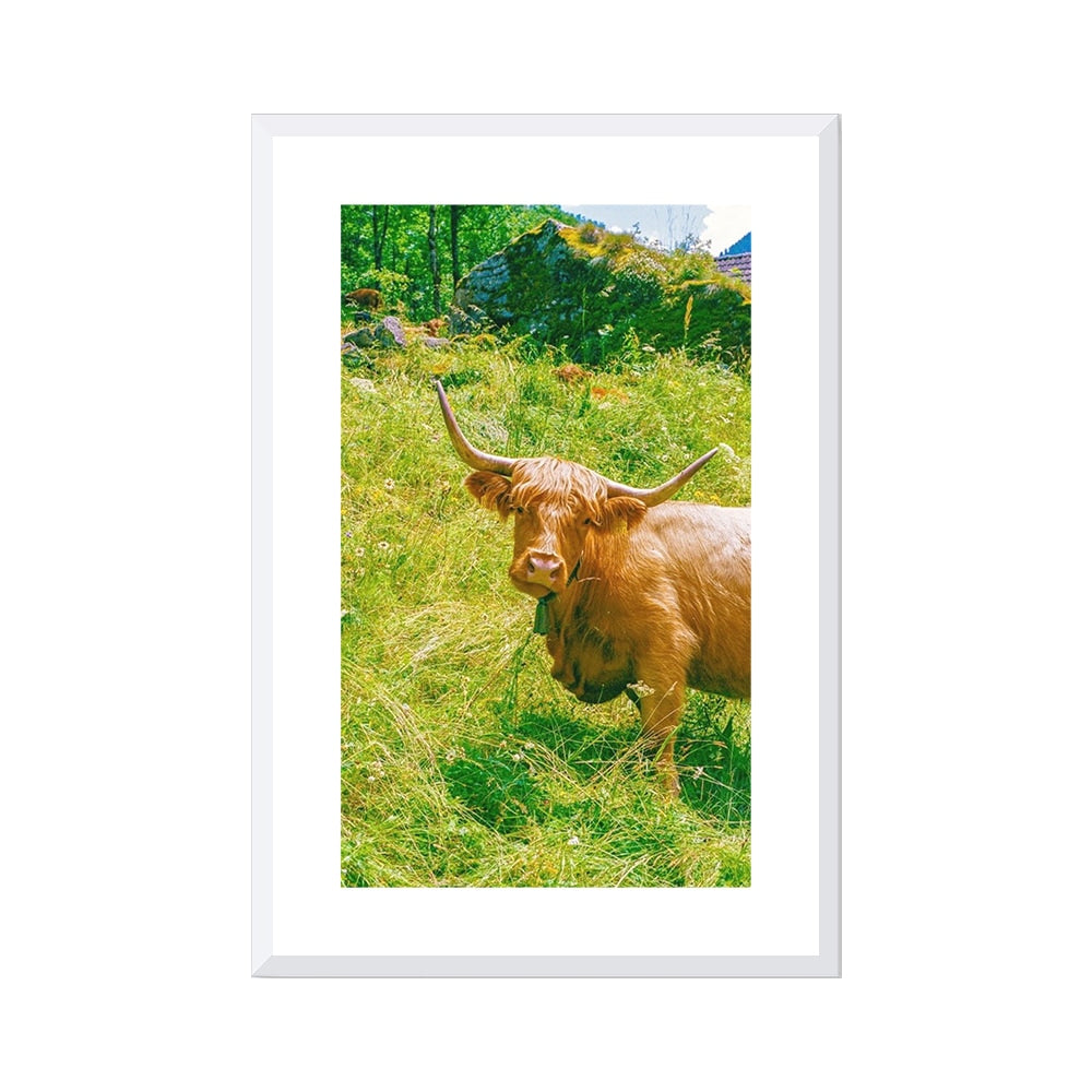Highland Encounter