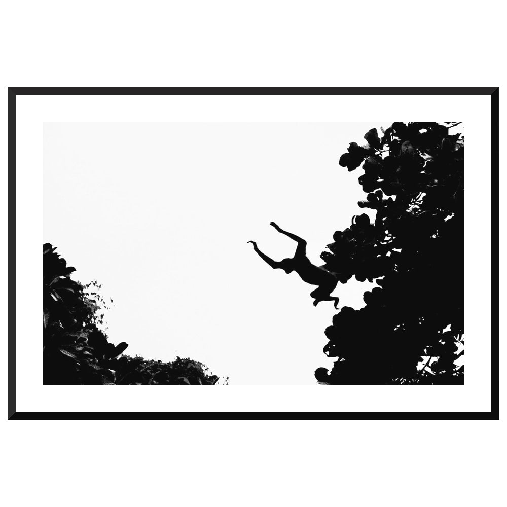 Howler’s Leap