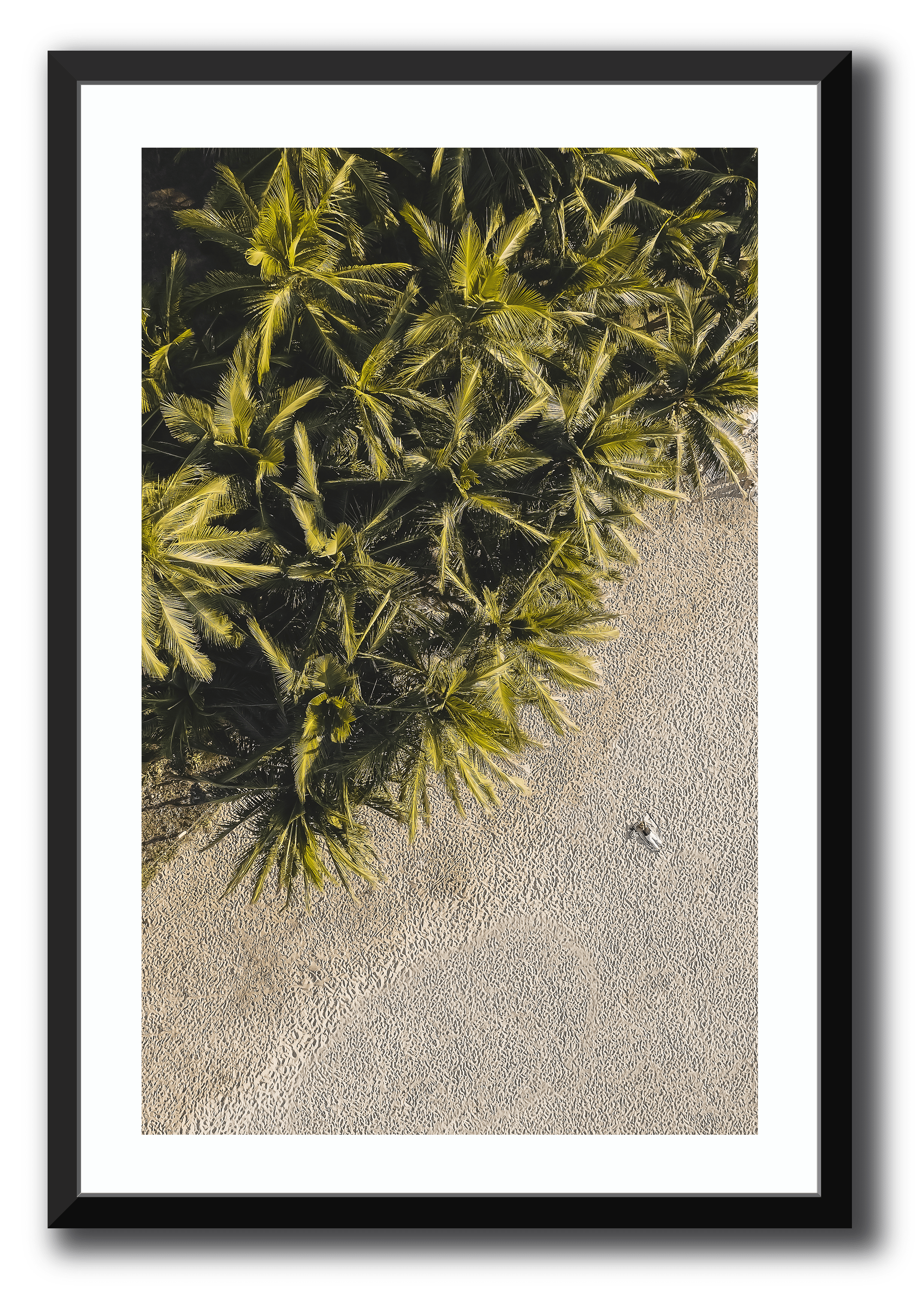 Edge of the Jungle Framed Photography Richard Van De Water