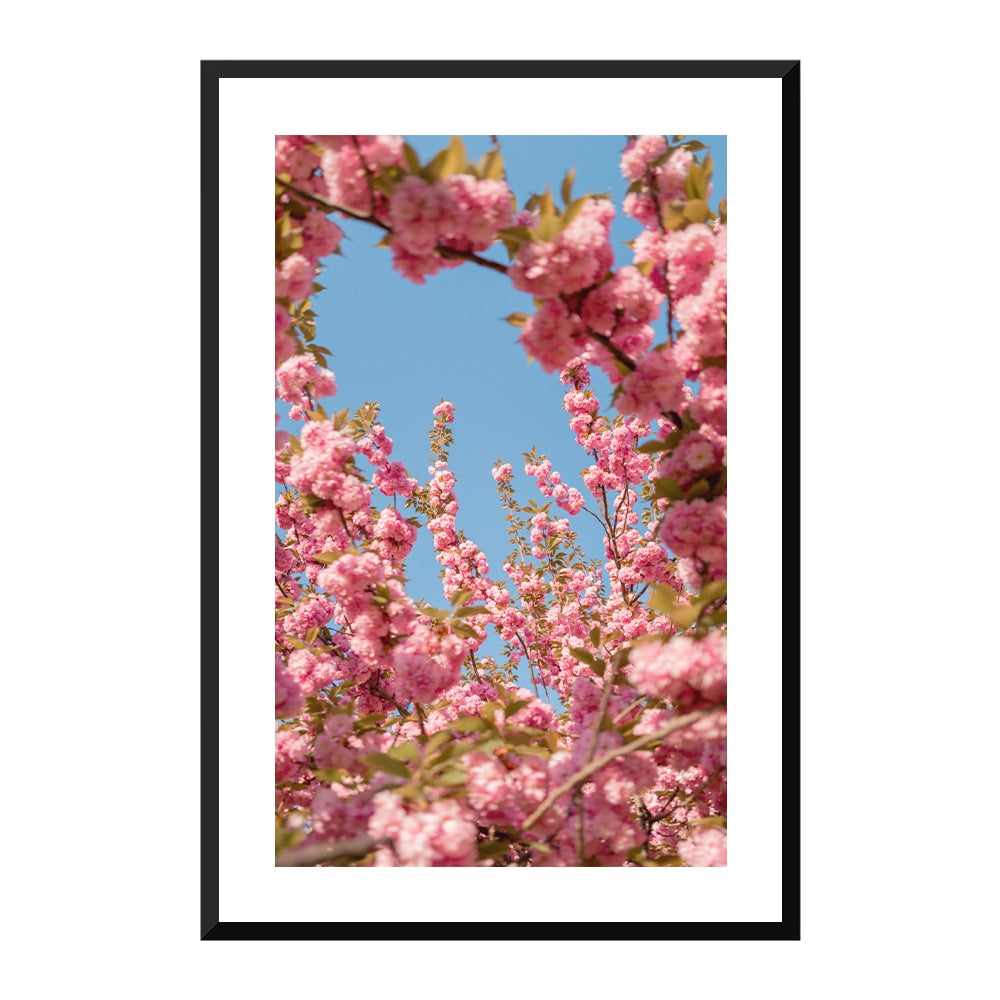 A Moment in Bloom