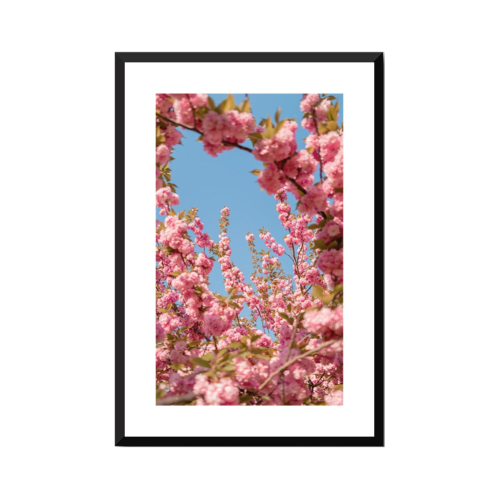 A Moment in Bloom