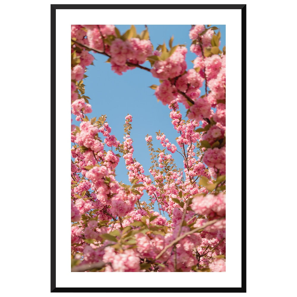 A Moment in Bloom