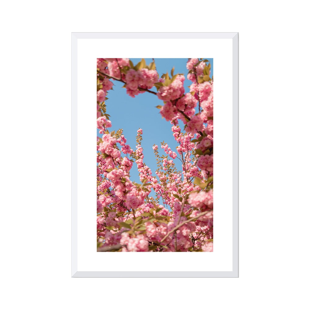 A Moment in Bloom