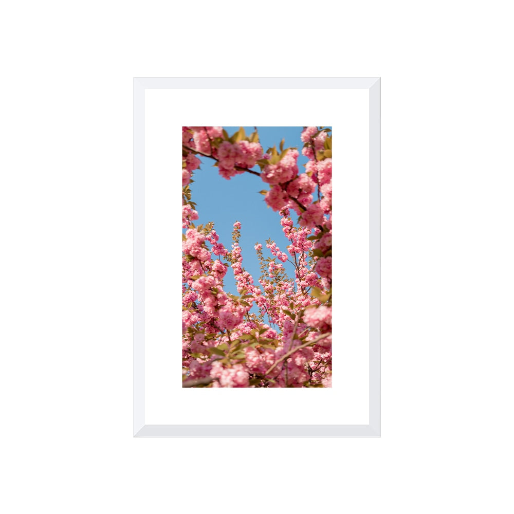 A Moment in Bloom