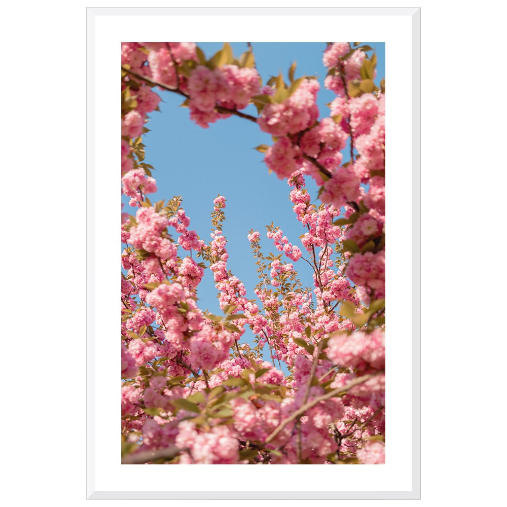 A Moment in Bloom