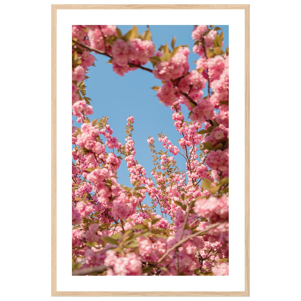 A Moment in Bloom