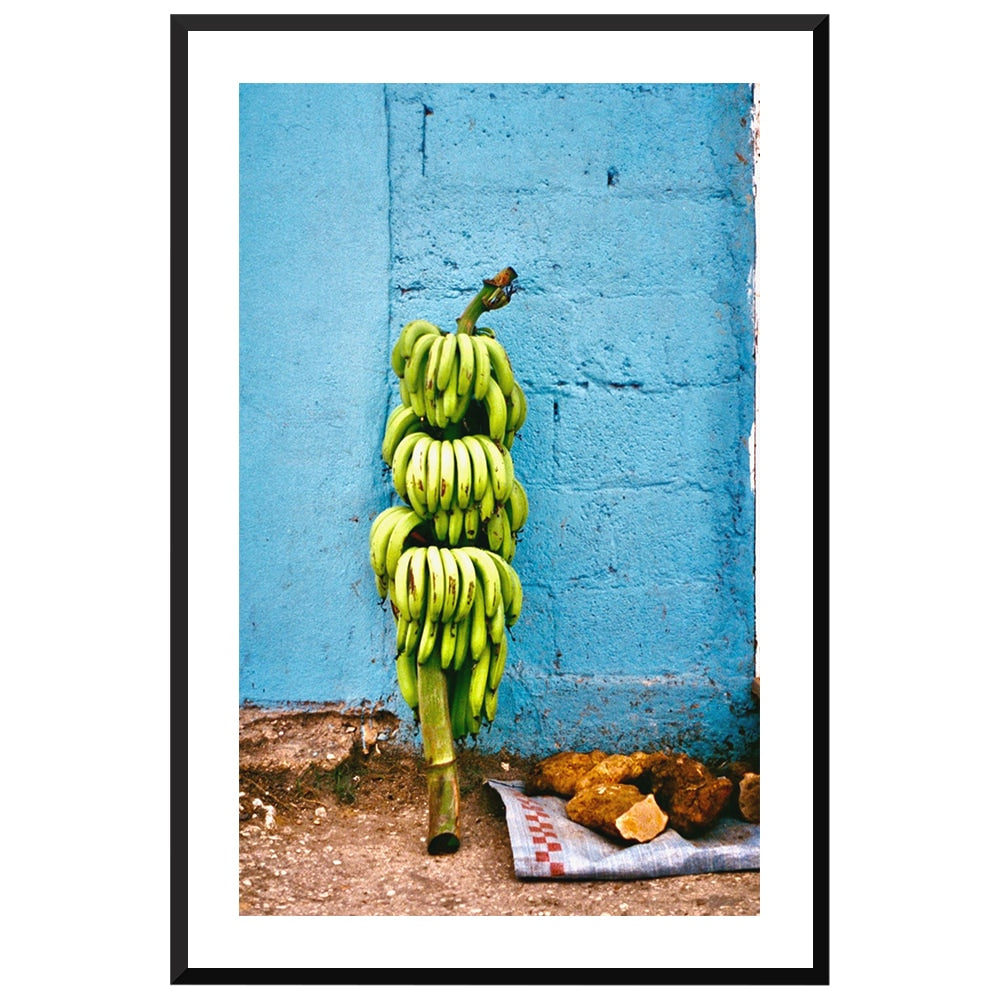 Banana Harvest