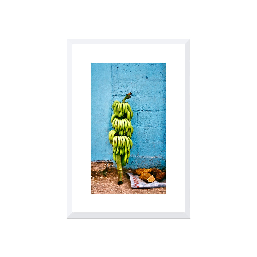 Banana Harvest