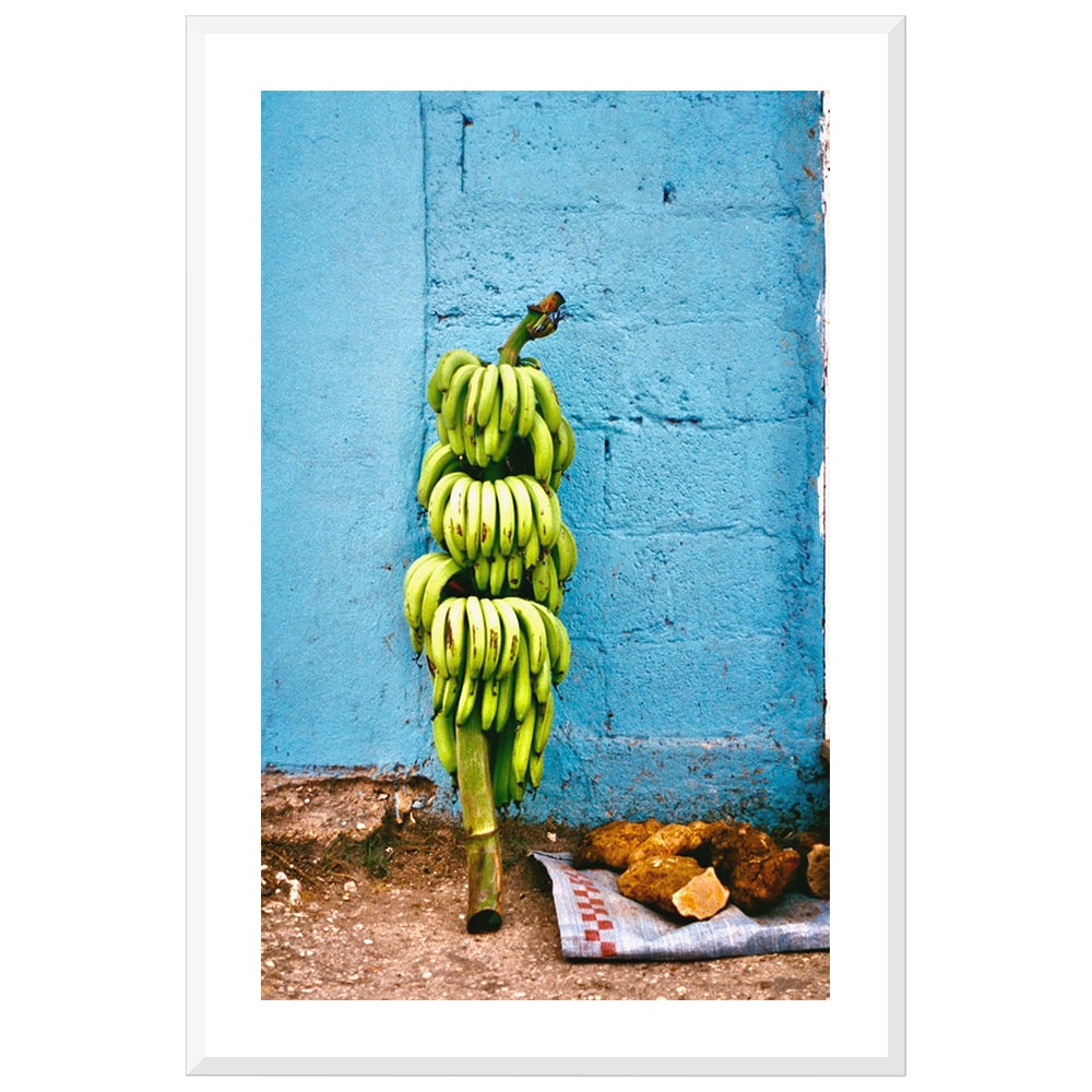 Banana Harvest