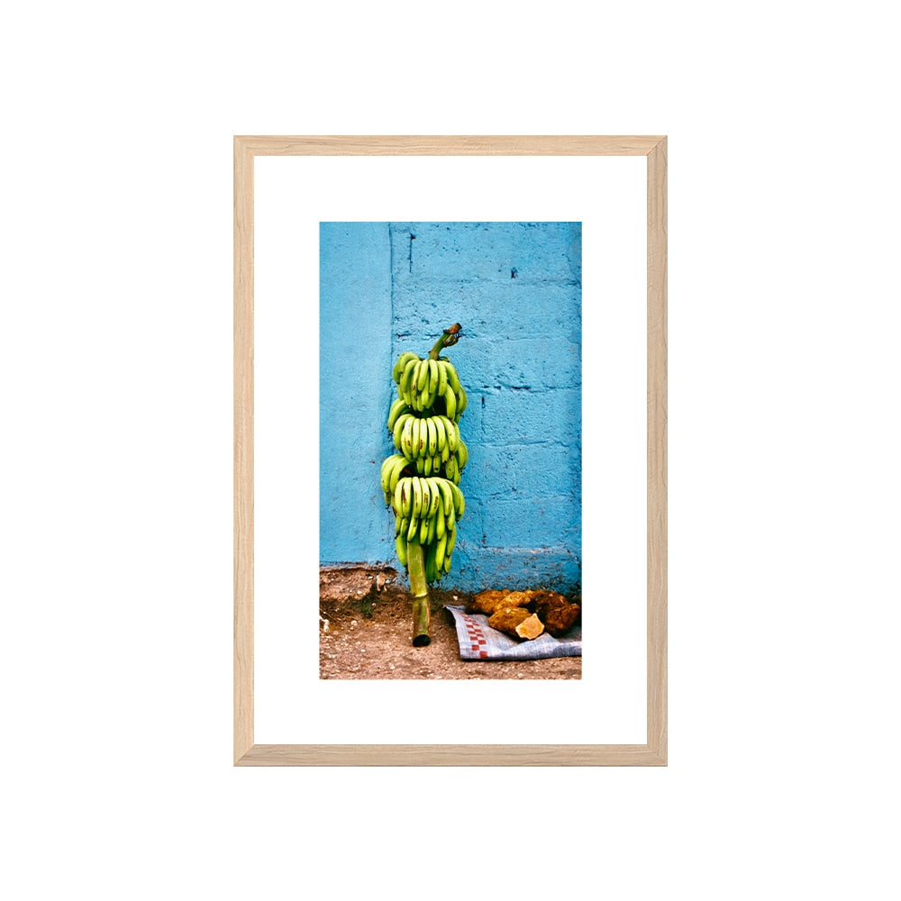 Banana Harvest