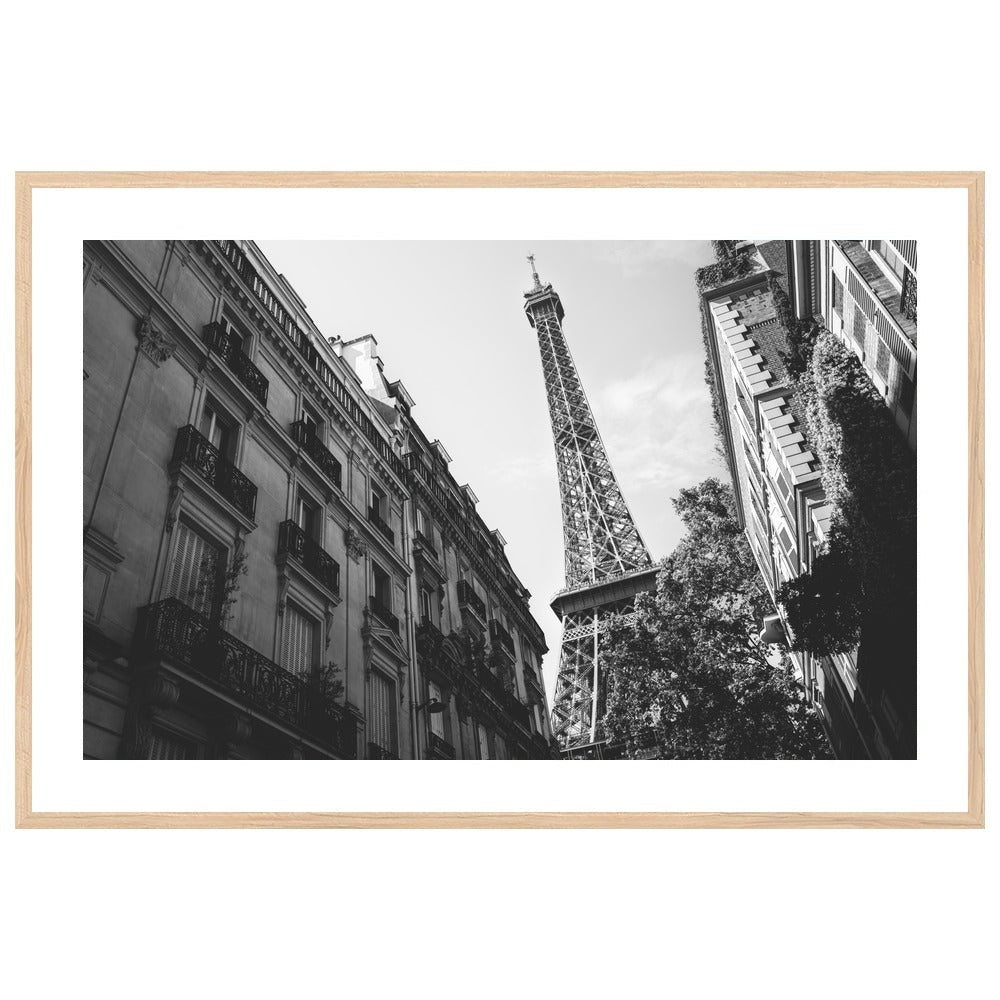 La Dame de Fer in a wood frame, X-Large