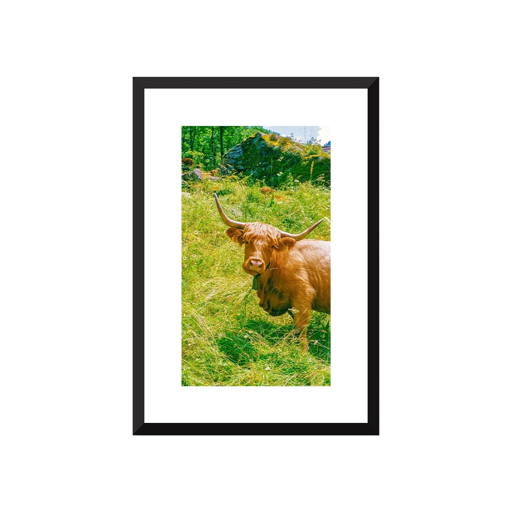 Highland Encounter