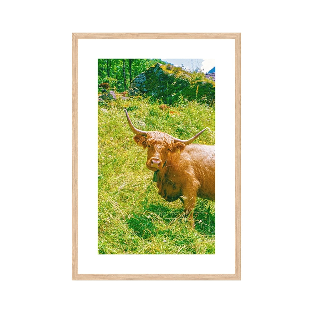 Highland Encounter