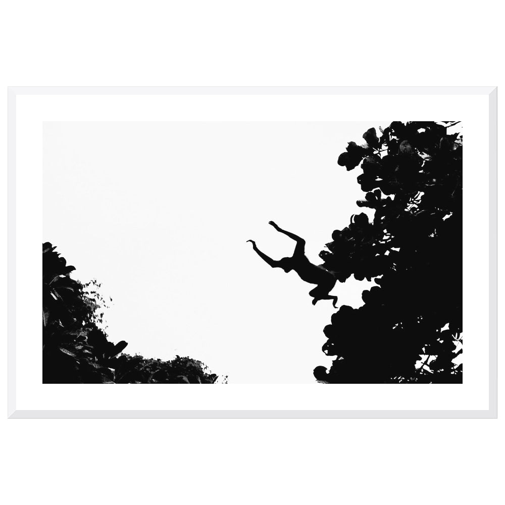 Howler’s Leap