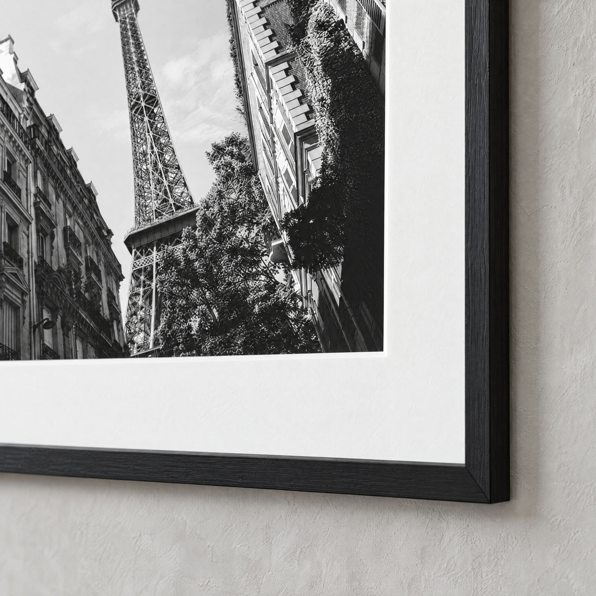 Close-up of the black frame and white mat on La Dame de Fer