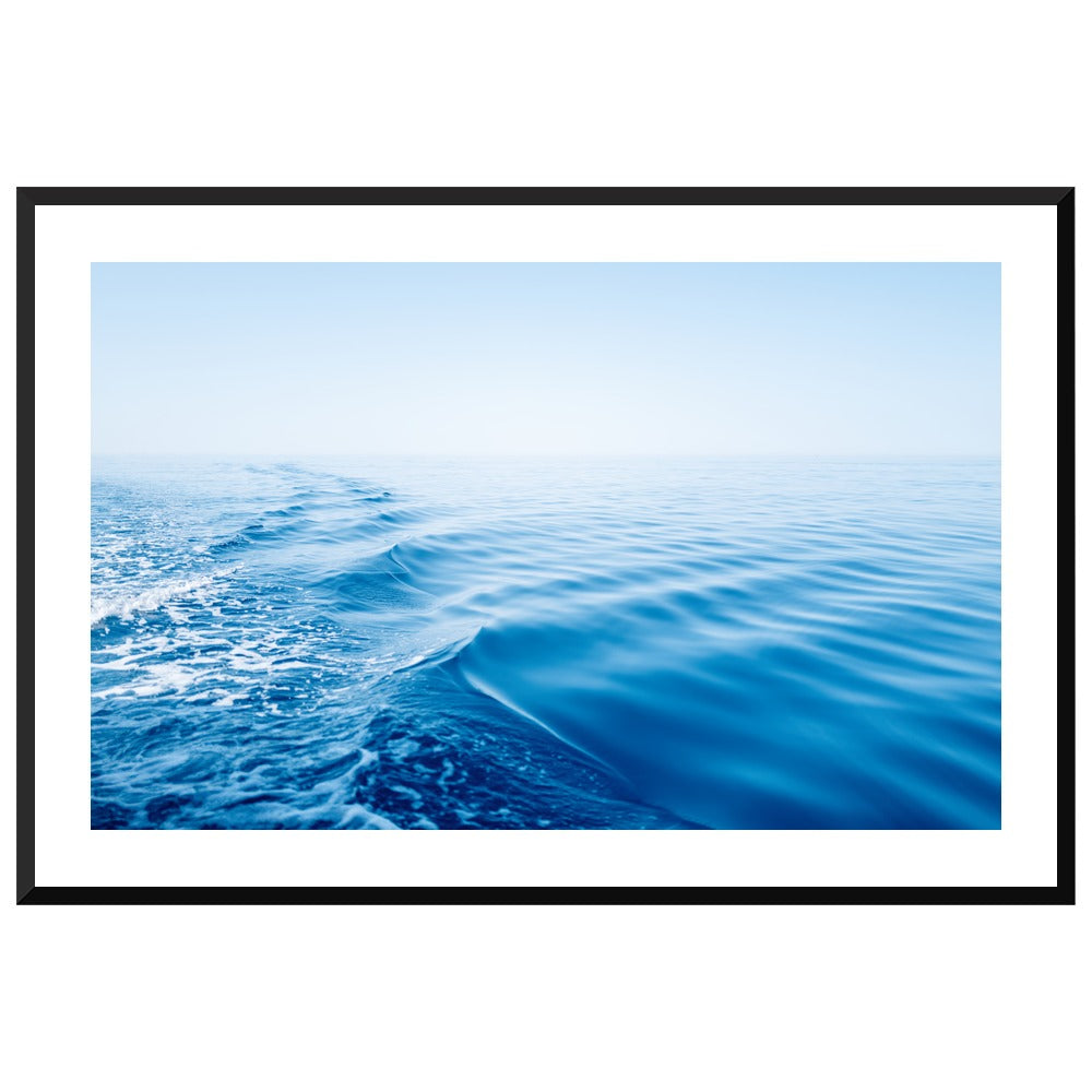 Silky Blue in a black frame, X-Large
