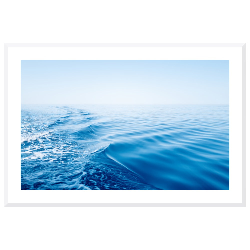 Silky Blue in a white frame, X-Large