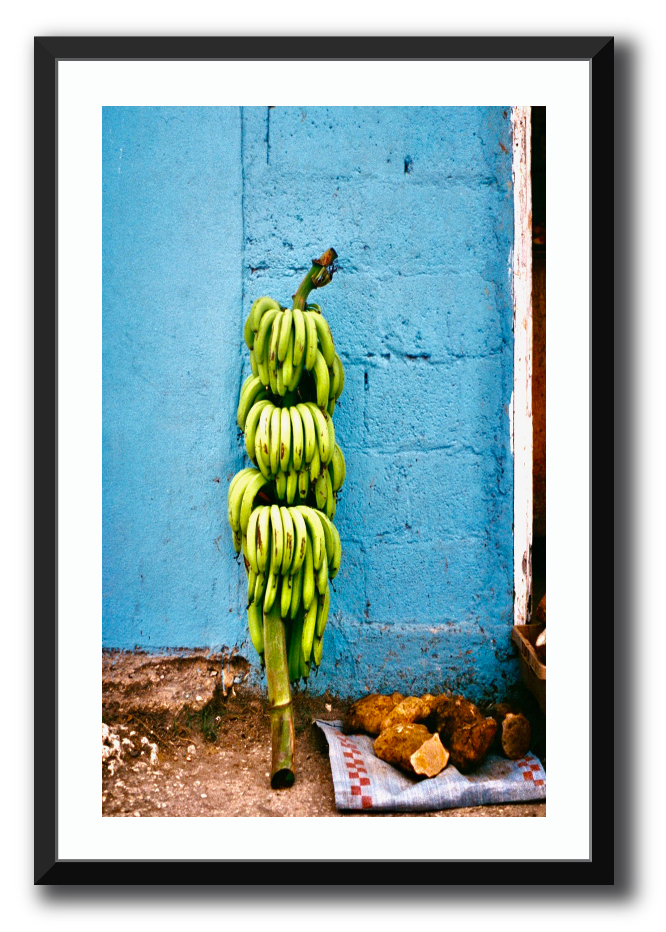 Banana Harvest Framed Photography Brett Sutton 